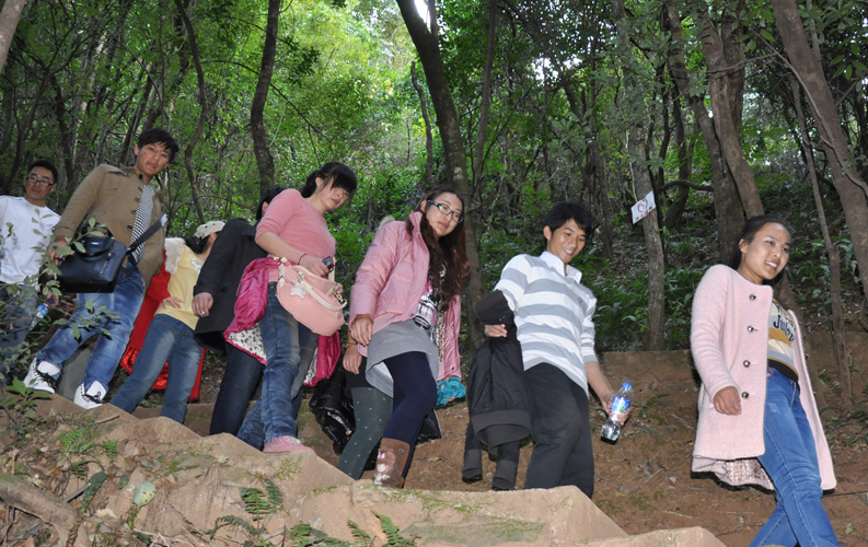 青龙峡位于昆明西郊安宁市青龙镇滇中生态大峡谷中，景区有保存较为完好的植物群落，遮天蔽日的参天古木；有浪漫山花，野果飘香，还有清秀宁静的田园风光。河谷沿岸古柳成荫，几十里的云南樱花大道成为昆明郊游靓丽的风景线。景区中溪水潺潺，千姿百态、千奇百怪的蔓藤风光随处可见，号称“都市身旁的小九寨。