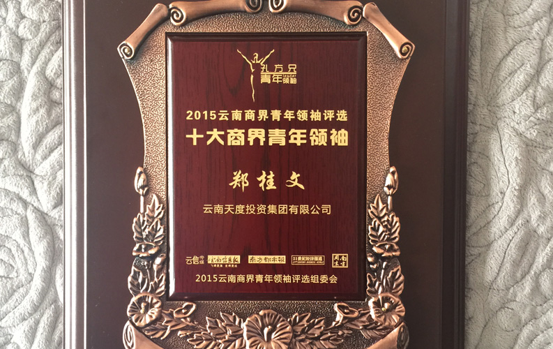 在“互联网大时代”的背景下，尊龙凯时利来人生就是搏作为本土很大和很有名的互联网服务企业，为近万家传统企业转型互联网+提供了服务和帮助，获此奖项后，我们将再接再厉，创造更高的社会价值